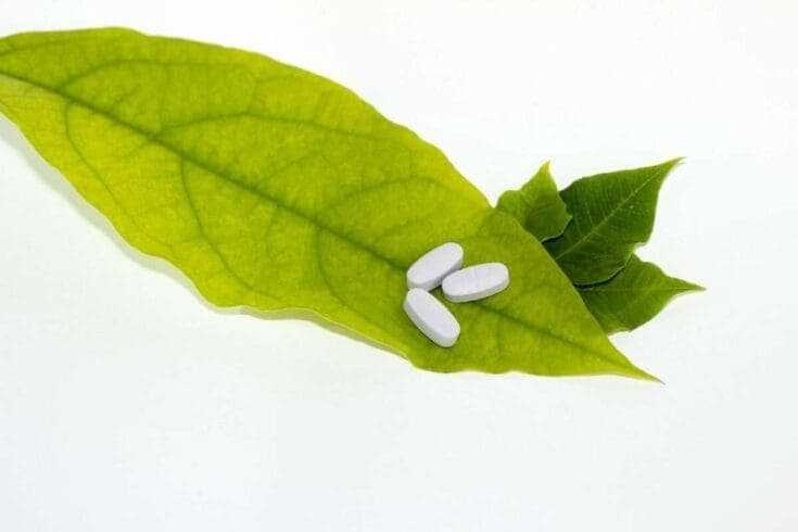 What Is a Natural Antibiotic:10 Best Natural Antibiotics to Try Today at Home 8 natural antibiotics
