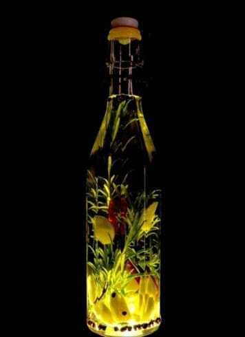 What Is a Natural Antibiotic:10 Best Natural Antibiotics to Try Today at Home 12 oregano oil