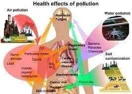 Take Action & Reduce Pollution: It Starts With You 8 Take Action & Reduce Pollution: It Starts With You 3