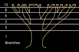 4 Mind-blowing Ways of Math in Nature 9 golden ratio