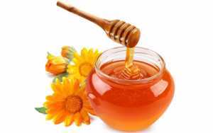Monsoon Admonitions: Healthy Foods You Need To Include 16 Monsoon Admonitions: Healthy Foods You Need To Include 13
