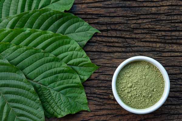 Learn About Red Borneo Kratom and How it Is Similar to CBD 1 Learn About Red Borneo Kratom and How it Is Similar to CBD 1