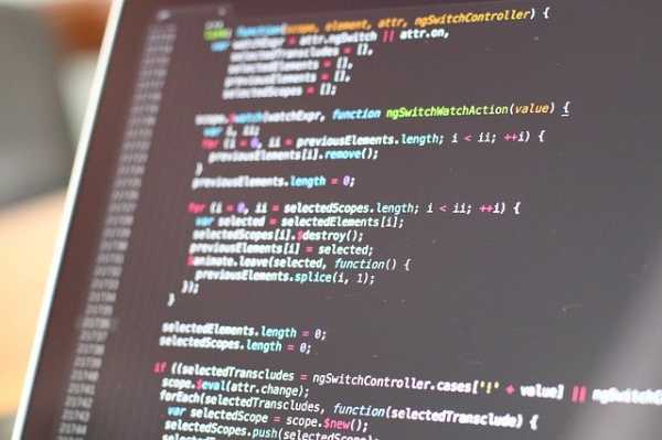 software developer software developer
