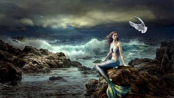 mermaid mermaid