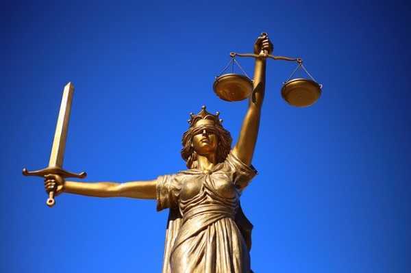 lawyer lawyer