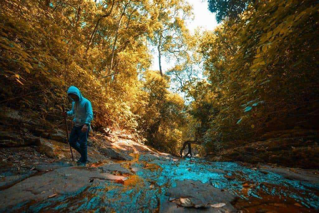Top 15 Mesmerizing Hill Places in Kerala! 10 Wayanad, Kerala