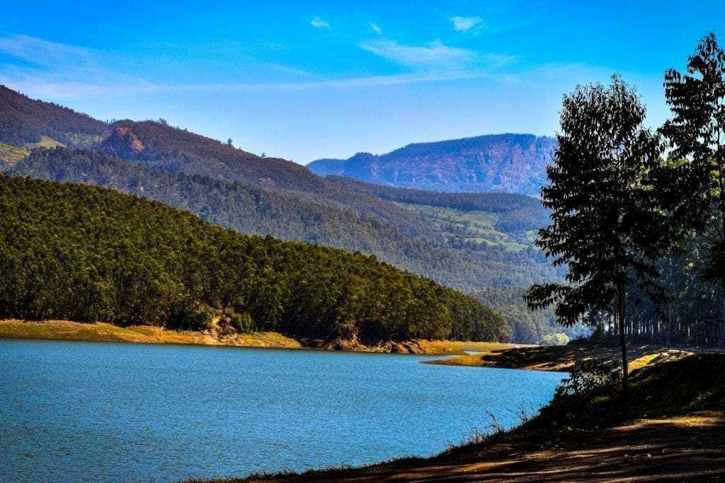 Top 15 Mesmerizing Hill Places in Kerala! 22 Mattupetty, Kerala