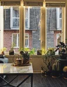 10 Mind Blowing Ways to Spice Up Your Home Furniture 11 house plant