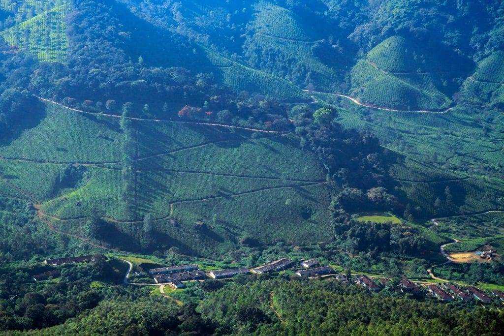 Top 15 Mesmerizing Hill Places in Kerala! 16 Eravikulam National Park