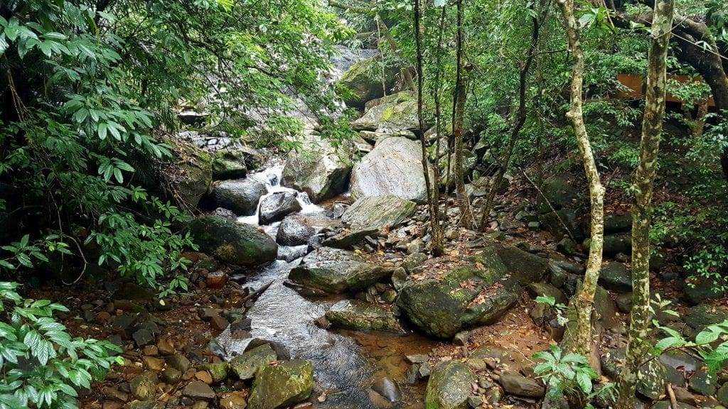 Top 15 Mesmerizing Hill Places in Kerala! 21 Vythiri, Kerala