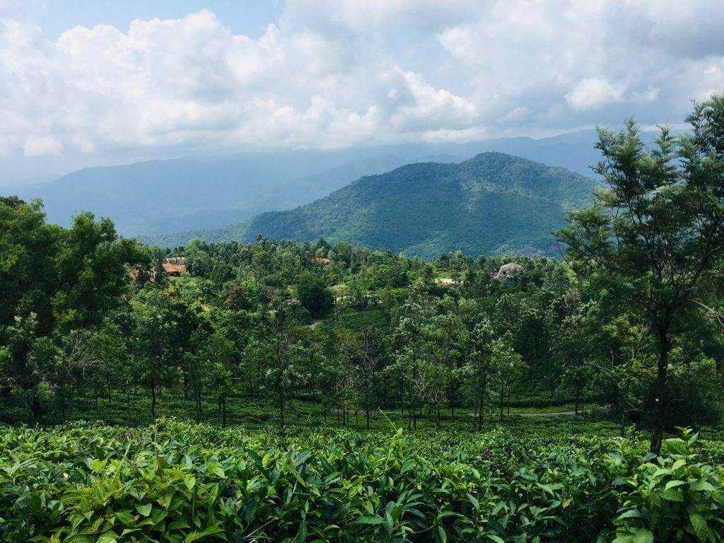 Top 15 Mesmerizing Hill Places in Kerala! 13 Ponmudi,Kerala