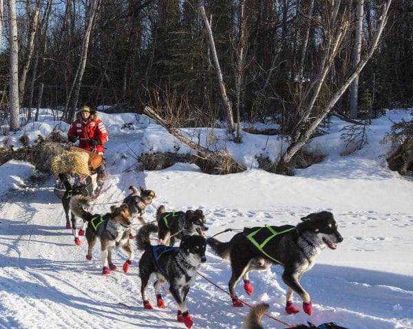 Alaska Tourism: Top 15 Interesting Places to Visit 18 Alaska tourism
