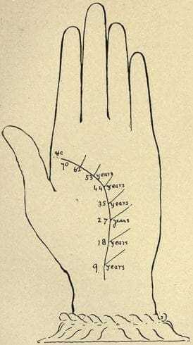 Short Life Line Meaning: Don't Mistake It for Early Death! 12 short life line meaning