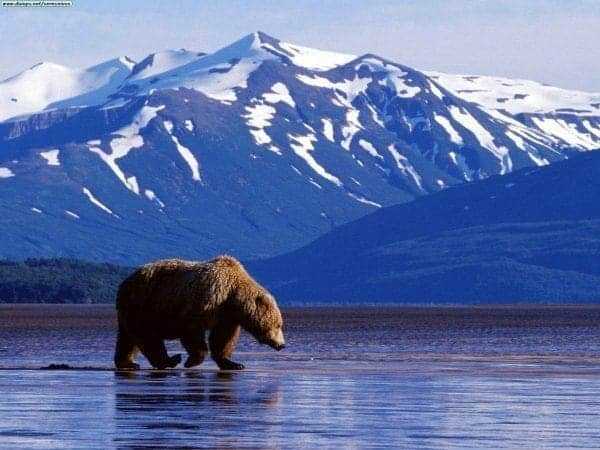 Alaska Tourism: Top 15 Interesting Places to Visit 8 Alaska tourism
