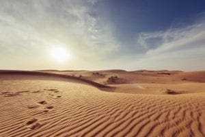 Top 50 Most Interesting Facts About Anything! 8 Desert