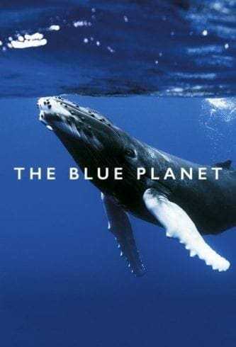 5 Incredible Books About Blue Planet You Should Read 11 The Blue Planet