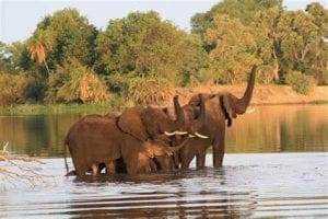 Victoria Falls : 33 Facts That You Did Not Know 12 Mosi oa Tunya National Park
