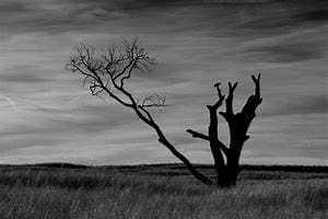 16 Incredible Photography Styles 25 16 Incredible Photography Styles 23