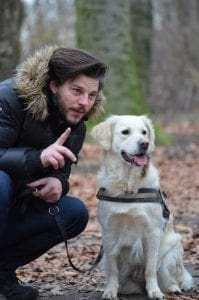 18 Incredible Dog Training Tips 14 You can teach your dog these few commands.