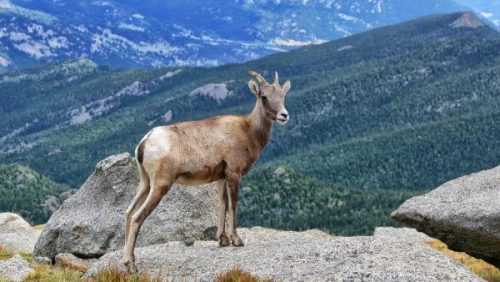 A Guide to Incredible Colorado Springs Hiking 15 Colorado Springs hiking