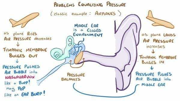 Crackling in Ear: Useful Remedies to Treat It 10 crackling in ear