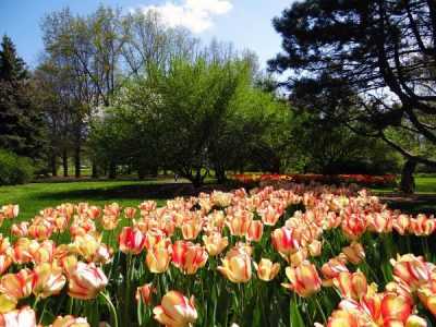 18 Stunning Fort Wayne Parks 10 Fort Wayne Parks