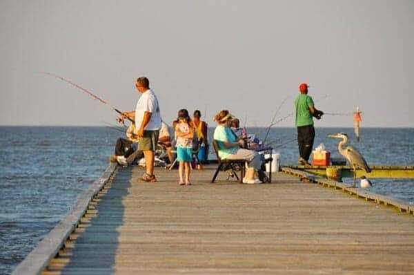 Dauphin Island: 8 Must-See Attractions 20 Dauphin Island