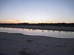 St Simons Island: 5 Captivating Details for Your Next Holiday 8 st simons island