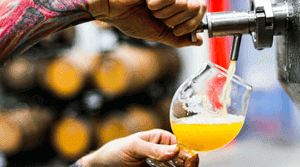 Ciderfest 2020: 6 Popular Cider Festivals 12 Beers | PhillyVoice
