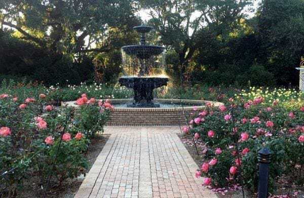 Dauphin Island: 8 Must-See Attractions 21 Dauphin Island