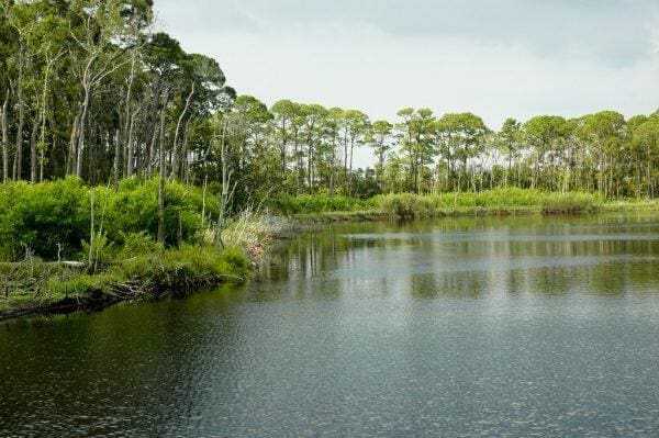 Dauphin Island: 8 Must-See Attractions 17 Dauphin Island