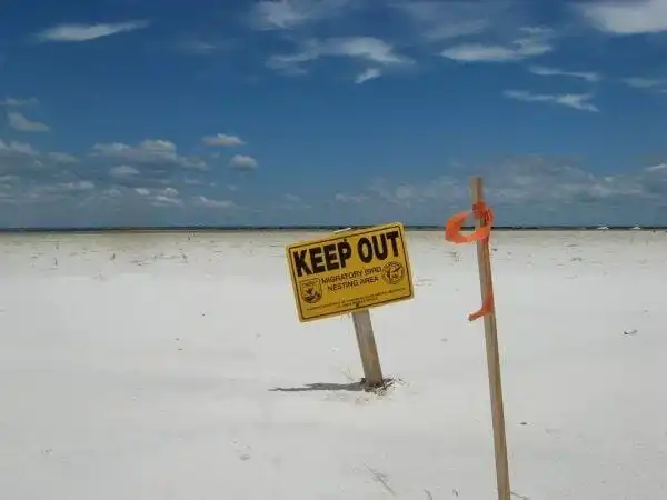 Dauphin Island: 8 Must-See Attractions 16 Dauphin Island