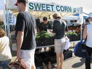 24 Sweet Corn Festival Facts 13 Sweet Corn Festival