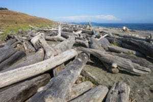 San Juan Islands: 9 Amazing Things To Know 19 San Juan Islands: 9 Amazing Things To Know 13