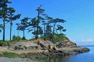 San Juan Islands: 9 Amazing Things To Know 12 San Juan Islands: 9 Amazing Things To Know 6
