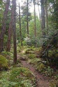 San Juan Islands: 9 Amazing Things To Know 21 San Juan Islands: 9 Amazing Things To Know 15
