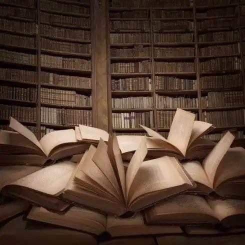 The Starters -5 Books for People Who Have Just Started Reading 1 A room full of books
