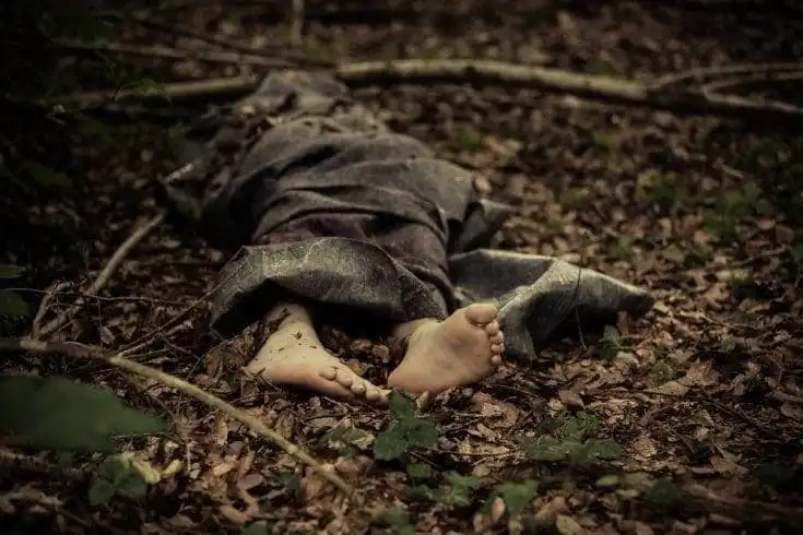 7 Unsolved Crazy Murder Cases: These Will Give You The Chills 10 A dead body of a young boy abandoned in a forest