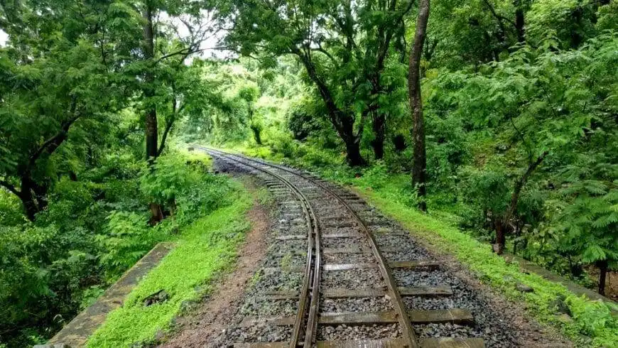 10 Reasons Why Mumbai Is One Of The Best Cities Ever 14 Sanjay Gandhi National Park on a rainy day
