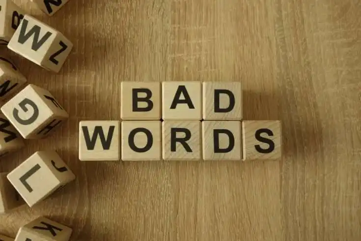 "The More Cuss Words You Use, The More Intelligent You Are": Study 11 Bad words written in wooden blocks