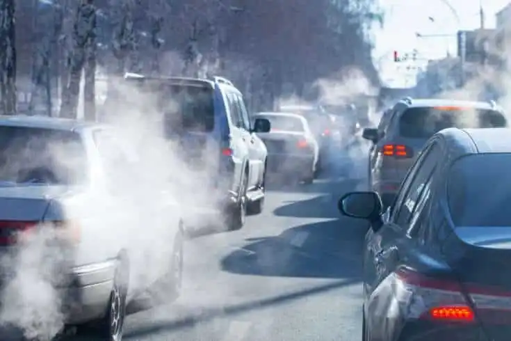 Vijayadashami: Losing Environment 10 Air pollution