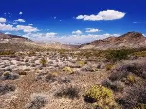 Top 15 Wyoming RV Parks You Must Visit for Adventure 14 Top 15 Wyoming RV Parks You Must Visit for Adventure 10