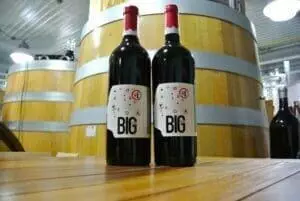 Go Big or Go Home: Big Head wines winning fans at new winery in Niagara ...
