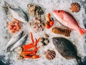 Deep Sea Fishing Galveston : A Paradise for Anglers 14 Snapper