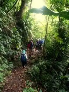 Best Birdwatching Sites in Tobago 11 gilpin trace tobago