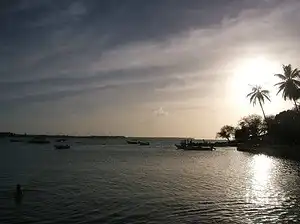Best Birdwatching Sites in Tobago 9 tobago