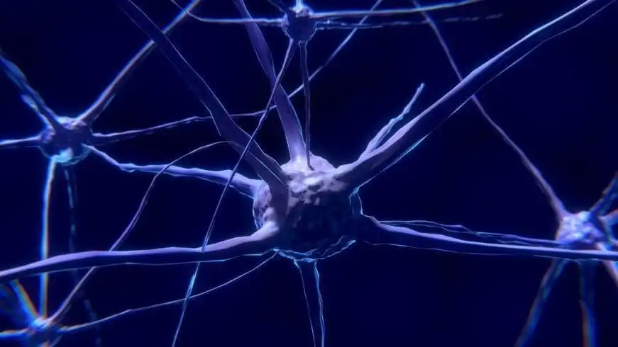 40 Best Self Confidence Books 14 wire your brain