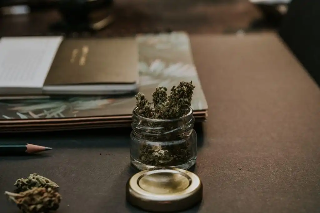 Best Guide to How to Roll a Joint in 3 Simple Steps! 9 Cannabis