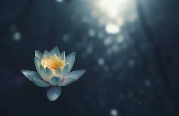 10 Best Types of Meditation To Know About 9 10 Best Types of Meditation To Know About 3