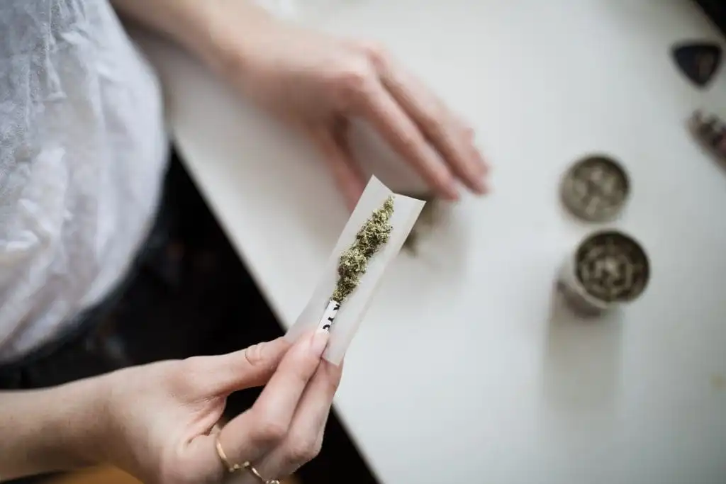 Best Guide to How to Roll a Joint in 3 Simple Steps! 12 joint filter